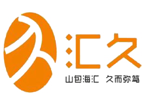 构建数字化基石 技术开发与系统集成的全链路服务解析